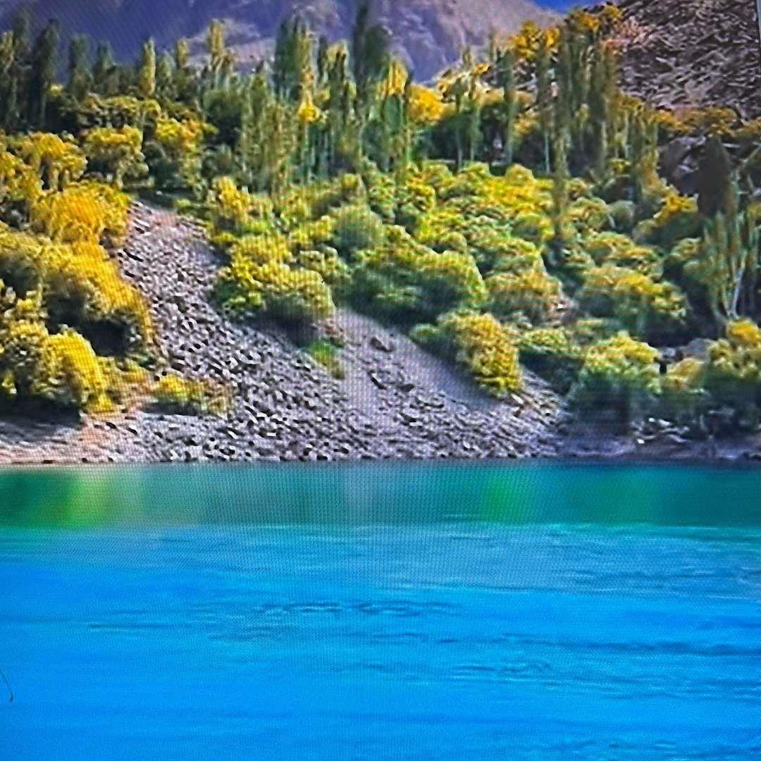 Detail Gallery Image 2 of 6 For 0 New Idria, Paicines,  CA 95043 - – Beds | – Baths