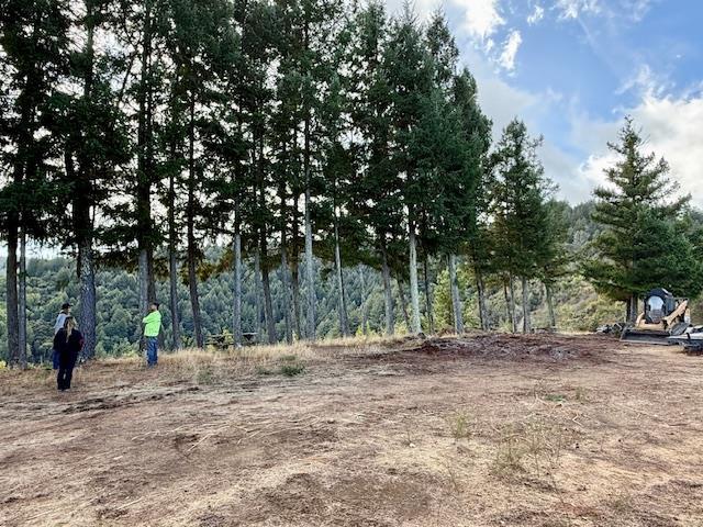 Detail Gallery Image 11 of 71 For 7175 Redwood Retreat Rd, Gilroy,  CA 95020 - – Beds | – Baths