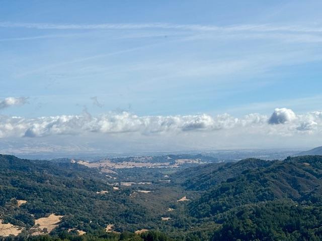 Detail Gallery Image 12 of 71 For 7175 Redwood Retreat Rd, Gilroy,  CA 95020 - – Beds | – Baths