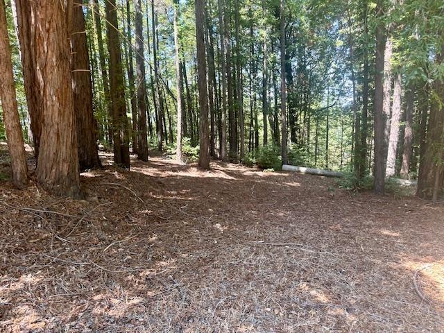 Detail Gallery Image 18 of 71 For 7175 Redwood Retreat Rd, Gilroy,  CA 95020 - – Beds | – Baths