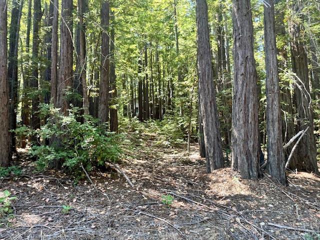 Detail Gallery Image 19 of 71 For 7175 Redwood Retreat Rd, Gilroy,  CA 95020 - – Beds | – Baths