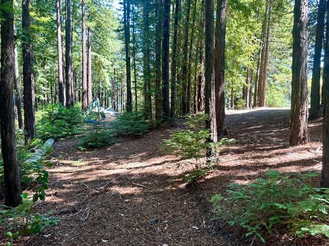 Detail Gallery Image 21 of 71 For 7175 Redwood Retreat Rd, Gilroy,  CA 95020 - – Beds | – Baths