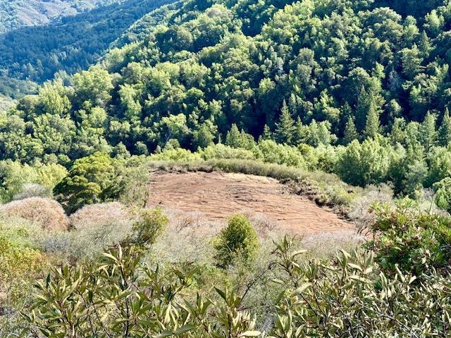 Detail Gallery Image 46 of 71 For 7175 Redwood Retreat Rd, Gilroy,  CA 95020 - – Beds | – Baths