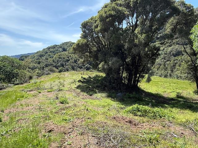 Detail Gallery Image 49 of 71 For 7175 Redwood Retreat Rd, Gilroy,  CA 95020 - – Beds | – Baths