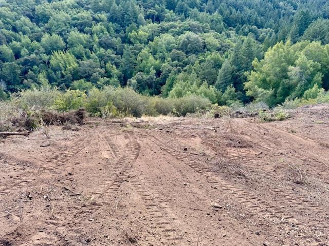 Detail Gallery Image 52 of 71 For 7175 Redwood Retreat Rd, Gilroy,  CA 95020 - – Beds | – Baths