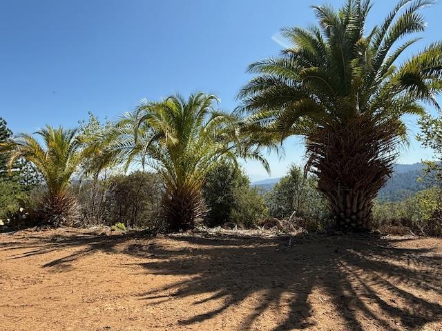 Detail Gallery Image 6 of 71 For 7175 Redwood Retreat Rd, Gilroy,  CA 95020 - – Beds | – Baths