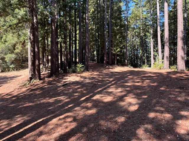 Detail Gallery Image 67 of 71 For 7175 Redwood Retreat Rd, Gilroy,  CA 95020 - – Beds | – Baths