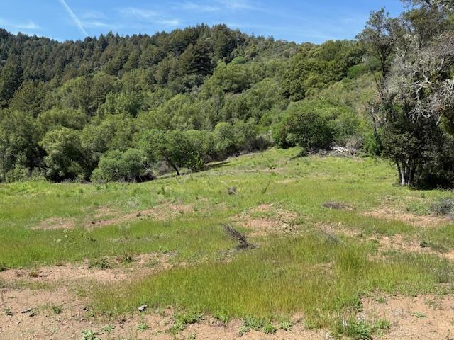 Detail Gallery Image 8 of 71 For 7175 Redwood Retreat Rd, Gilroy,  CA 95020 - – Beds | – Baths