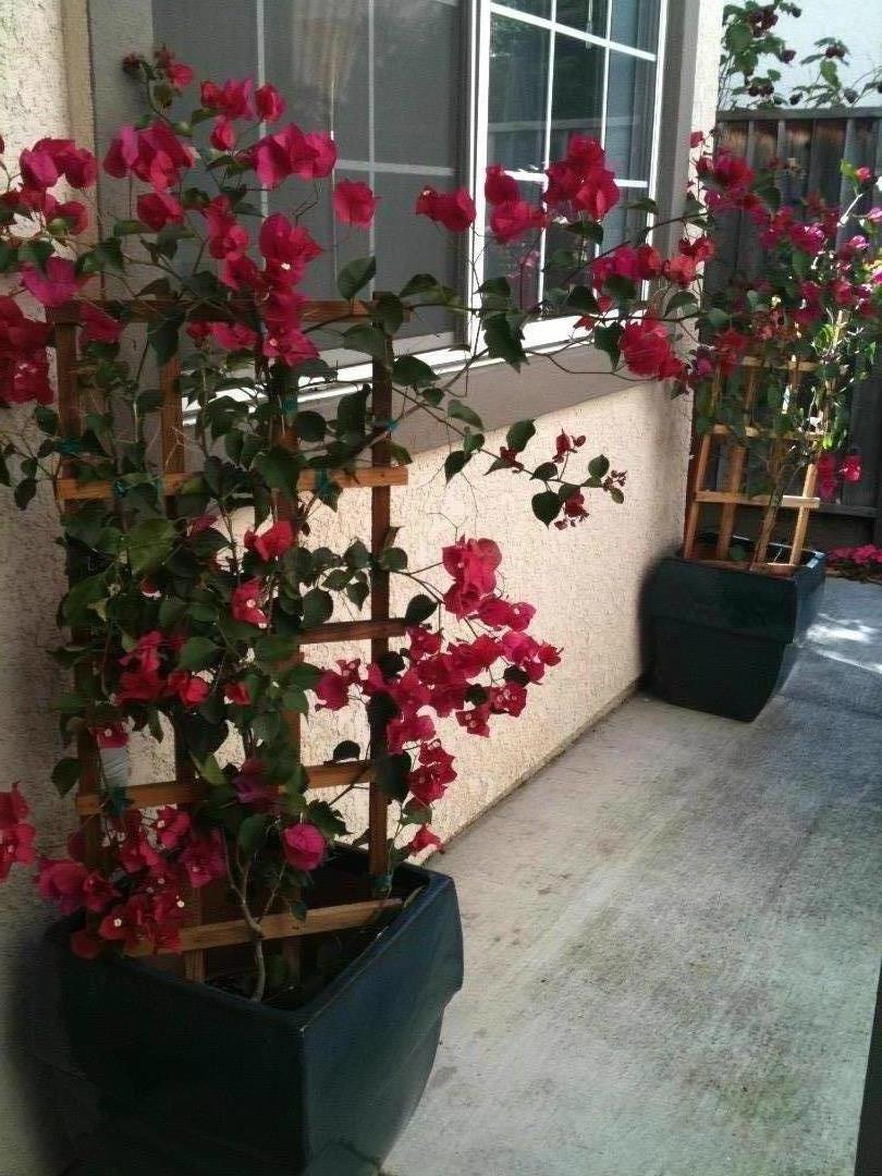 Detail Gallery Image 37 of 40 For 2223 Kingfisher Ct, San Leandro,  CA 94579 - 3 Beds | 2/1 Baths