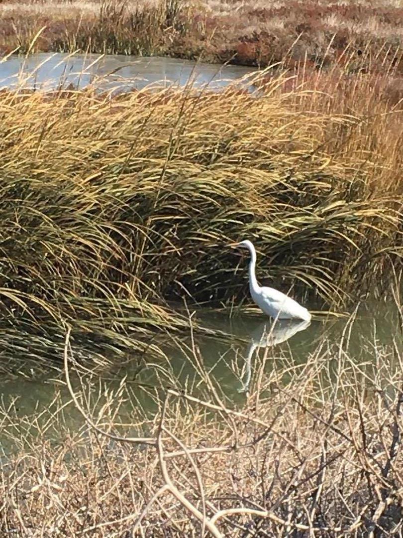 Detail Gallery Image 6 of 40 For 2223 Kingfisher Ct, San Leandro,  CA 94579 - 3 Beds | 2/1 Baths