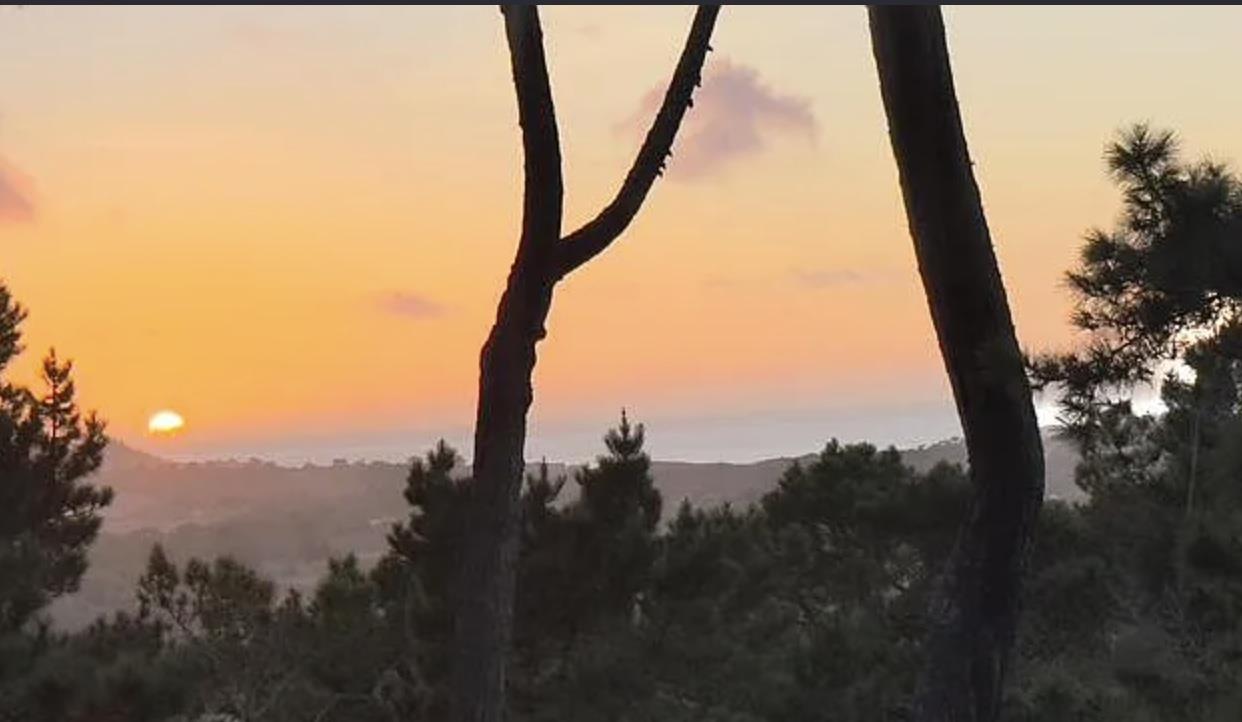 Detail Gallery Image 9 of 49 For 31 Del Mesa Carmel, Carmel,  CA 93923 - 2 Beds | 2 Baths