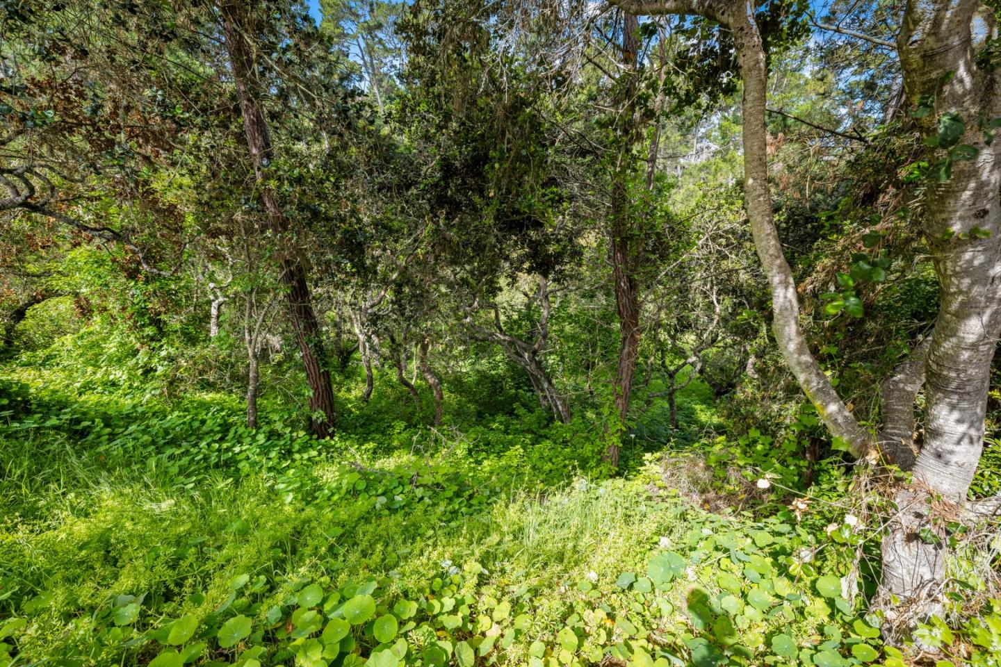 Detail Gallery Image 53 of 58 For 2040 Marsala Cir, Monterey,  CA 93940 - 3 Beds | 2 Baths