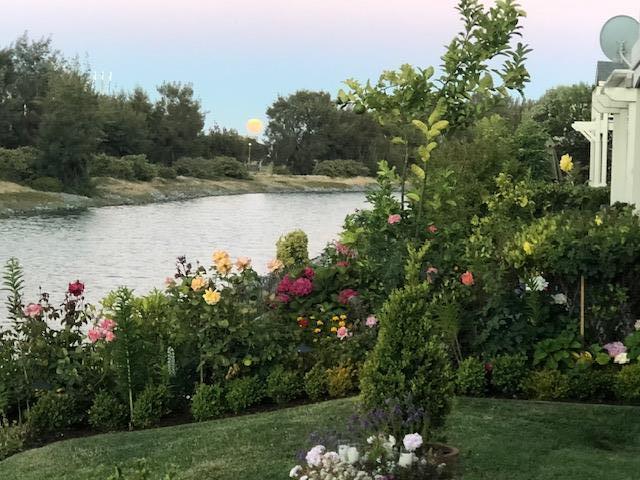 Detail Gallery Image 39 of 45 For 1085 Rockport Ave, Redwood City,  CA 94065 - 4 Beds | 3 Baths