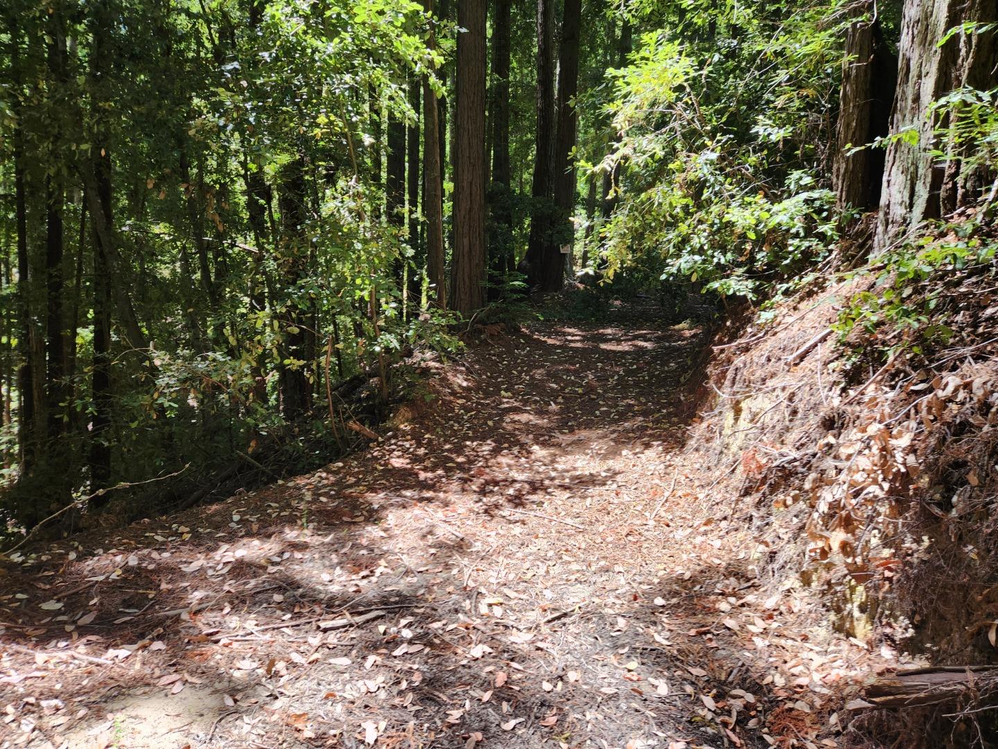 Detail Gallery Image 2 of 8 For 510 East Rd, Boulder Creek,  CA 95006 - – Beds | – Baths