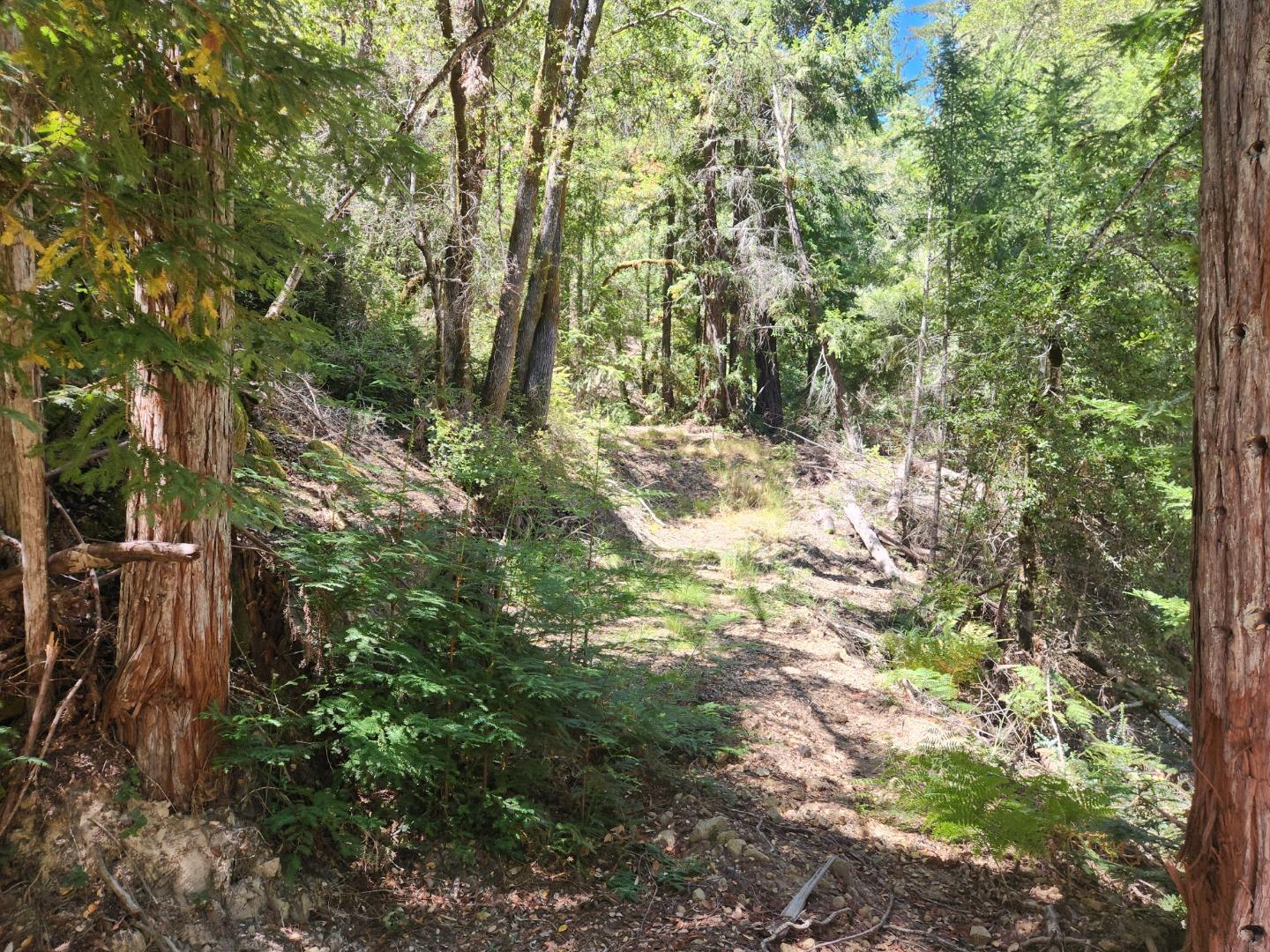 Detail Gallery Image 8 of 8 For 510 East Rd, Boulder Creek,  CA 95006 - – Beds | – Baths