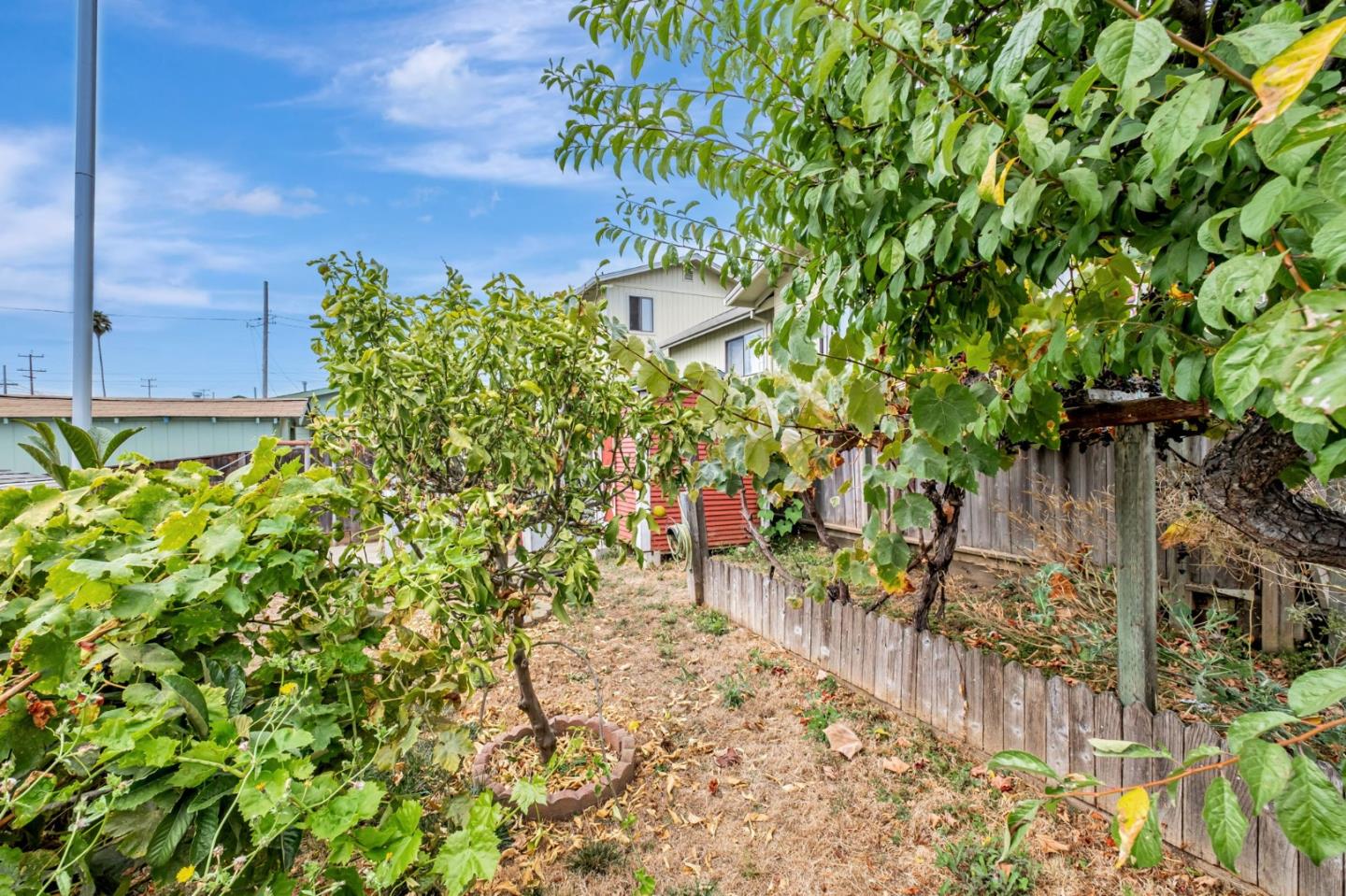 Detail Gallery Image 31 of 51 For 932 Lincoln St, Watsonville,  CA 95076 - 2 Beds | 1 Baths