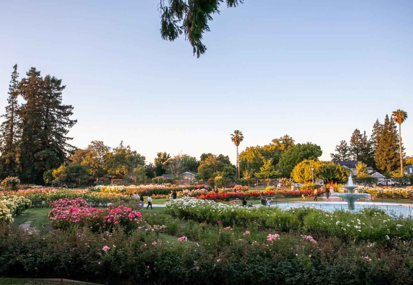 Detail Gallery Image 65 of 68 For 44 Muller Pl, San Jose,  CA 95126 - 3 Beds | 3/1 Baths