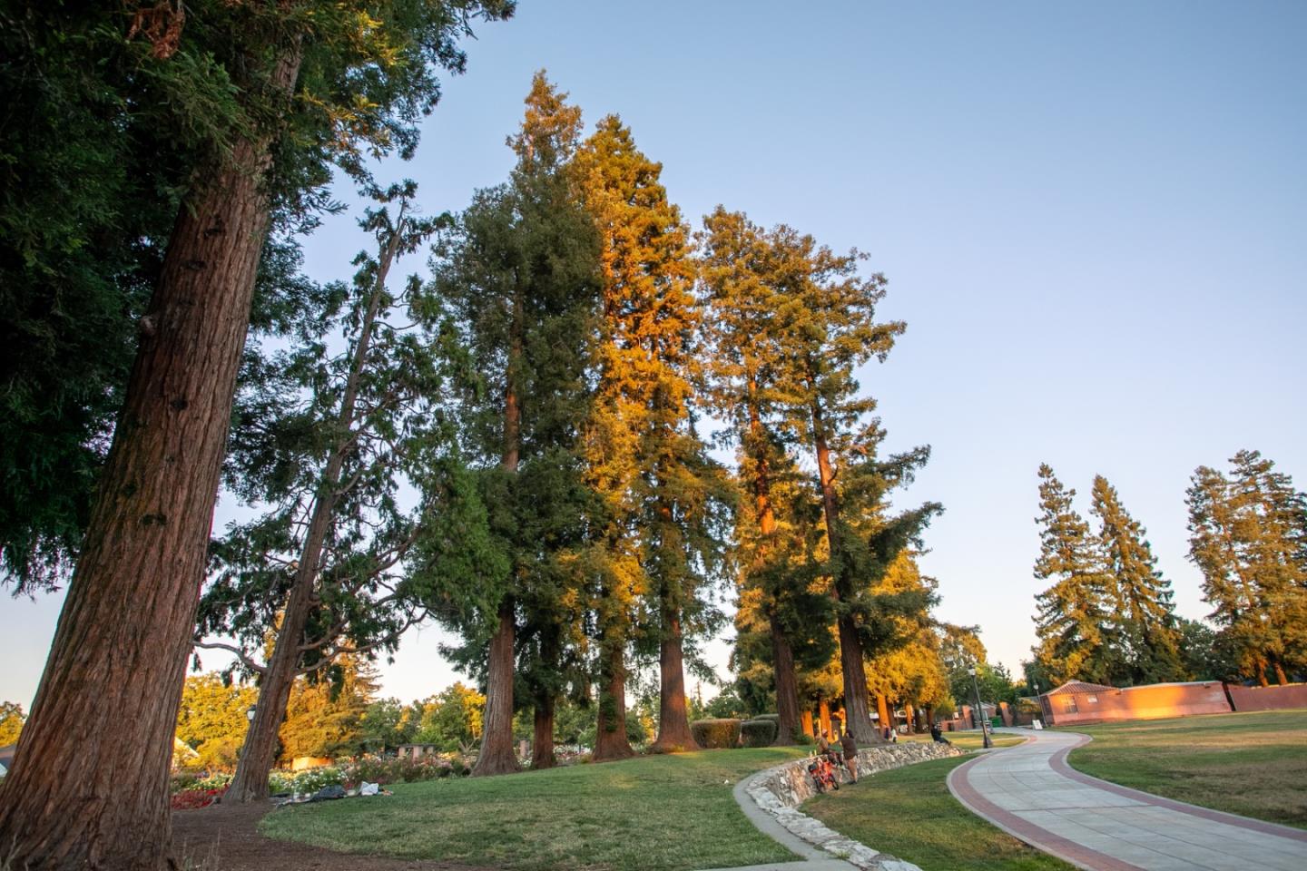 Detail Gallery Image 66 of 68 For 44 Muller Pl, San Jose,  CA 95126 - 3 Beds | 3/1 Baths