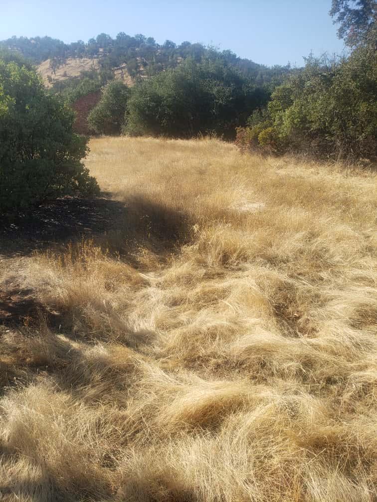 Detail Gallery Image 10 of 10 For 29763 Stoney Creek, Tollhouse,  CA 93667 - – Beds | – Baths