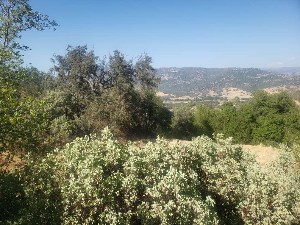 Detail Gallery Image 8 of 10 For 29763 Stoney Creek, Tollhouse,  CA 93667 - – Beds | – Baths