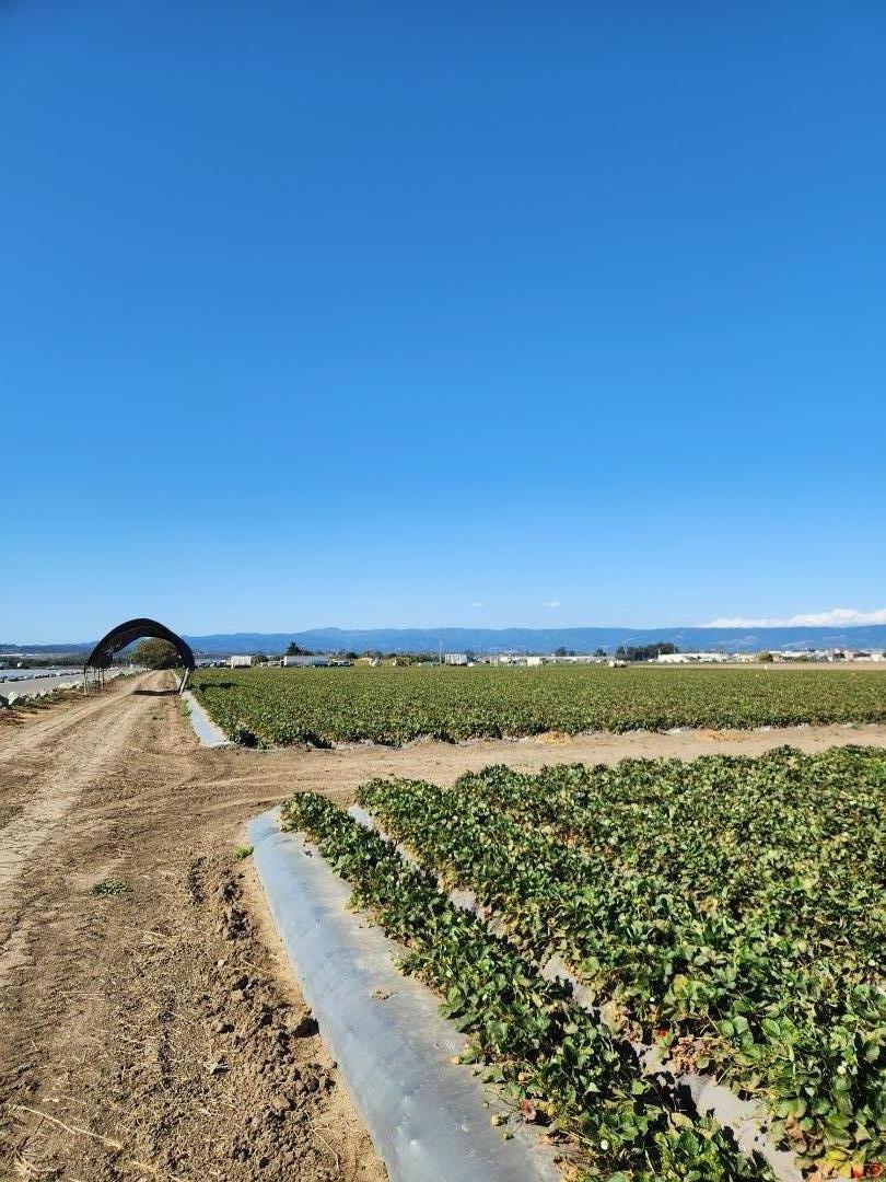 Detail Gallery Image 2 of 7 For 0 Clearwater Ln, Watsonville,  CA 95076 - – Beds | – Baths