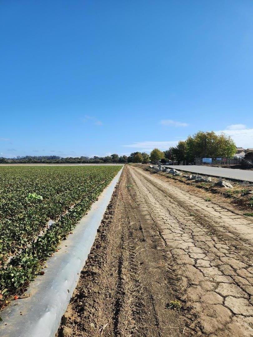 Detail Gallery Image 4 of 7 For 0 Clearwater Ln, Watsonville,  CA 95076 - – Beds | – Baths