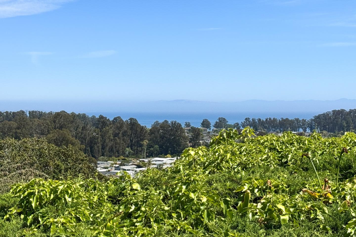 Detail Gallery Image 6 of 47 For 3315 Crestline Way, Soquel,  CA 95073 - 1 Beds | 1 Baths