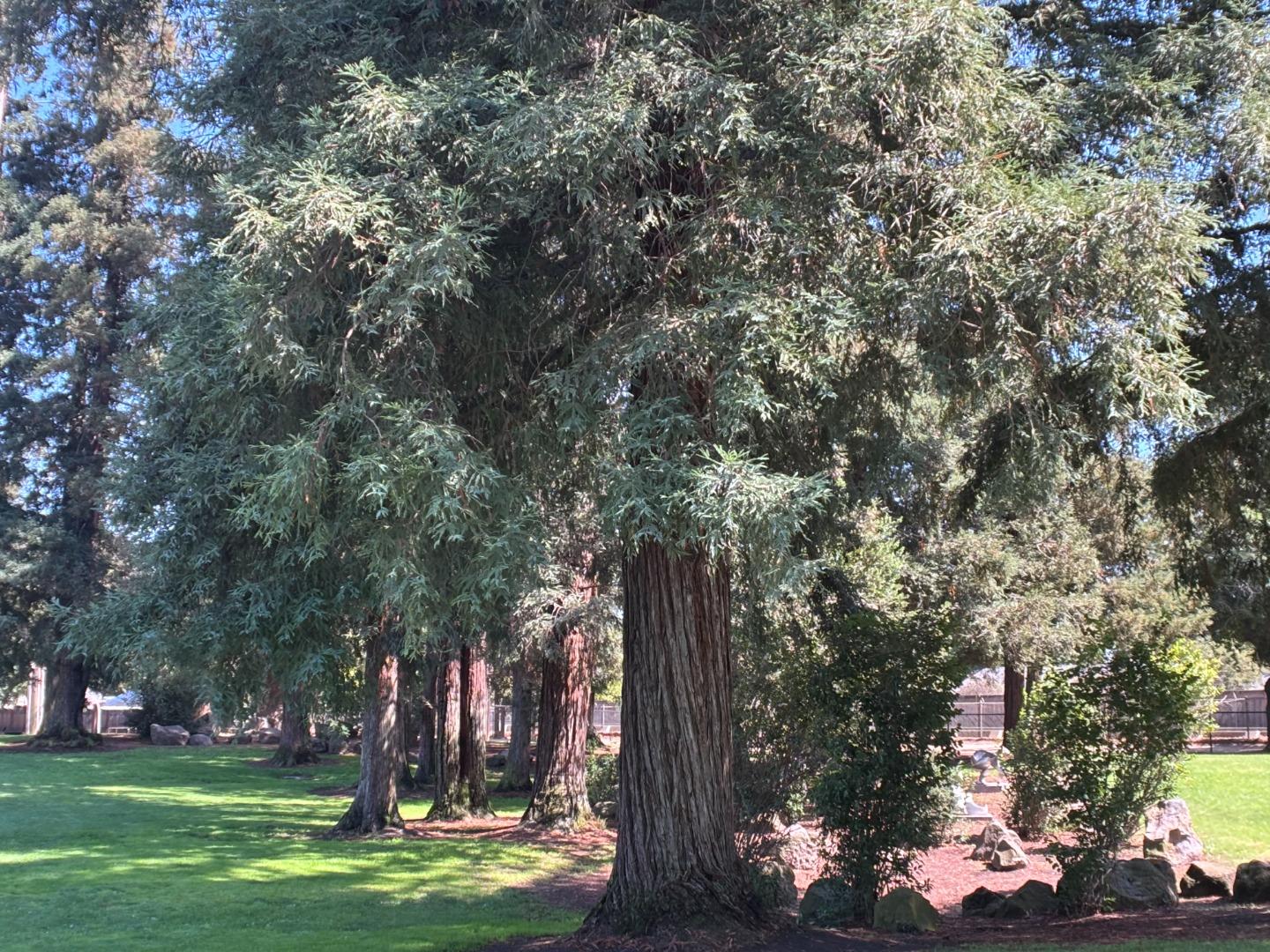 Detail Gallery Image 29 of 34 For 731 Loma Verde Ave #G,  Palo Alto,  CA 94303 - 3 Beds | 2/1 Baths