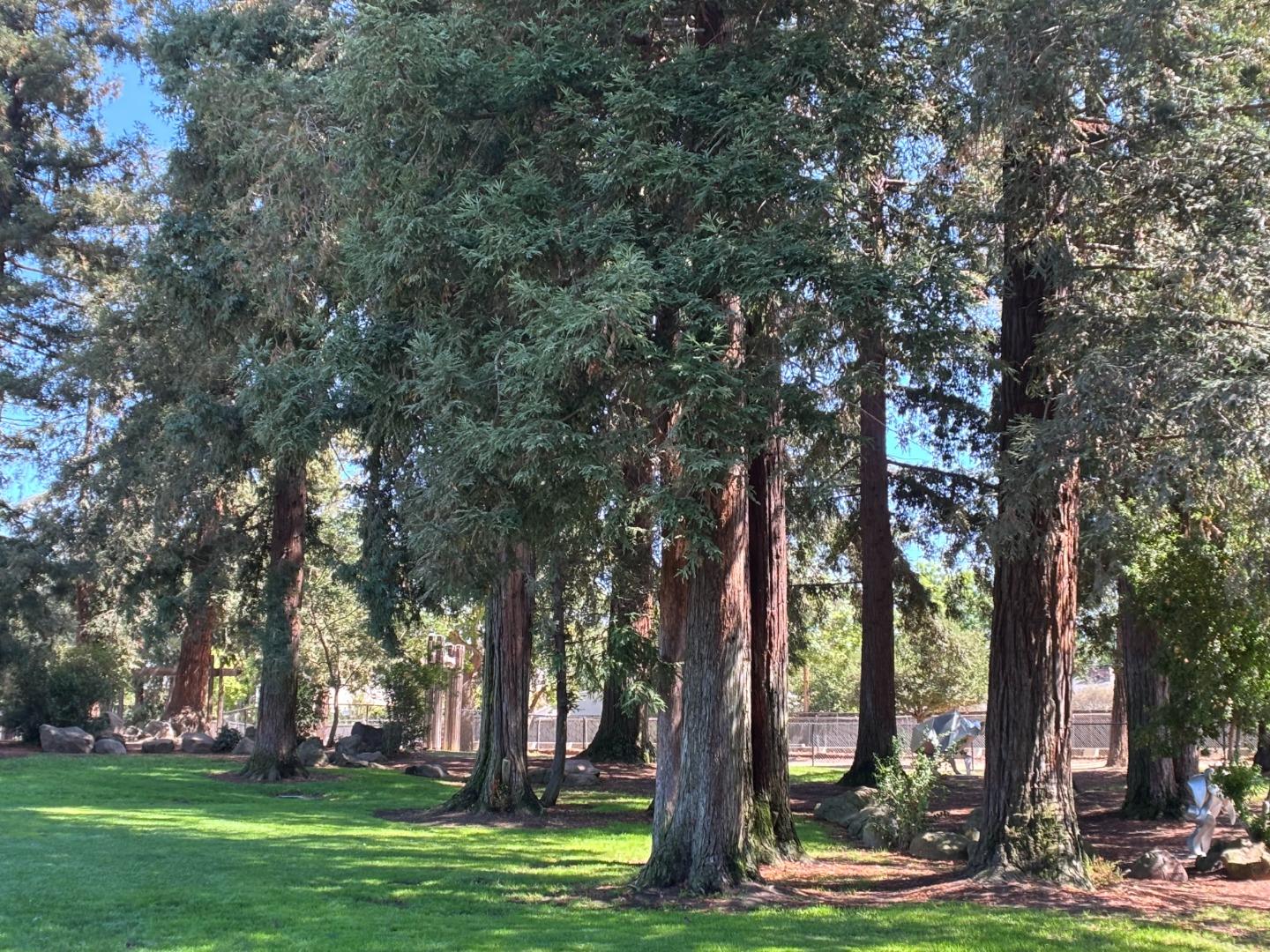 Detail Gallery Image 32 of 34 For 731 Loma Verde Ave #G,  Palo Alto,  CA 94303 - 3 Beds | 2/1 Baths