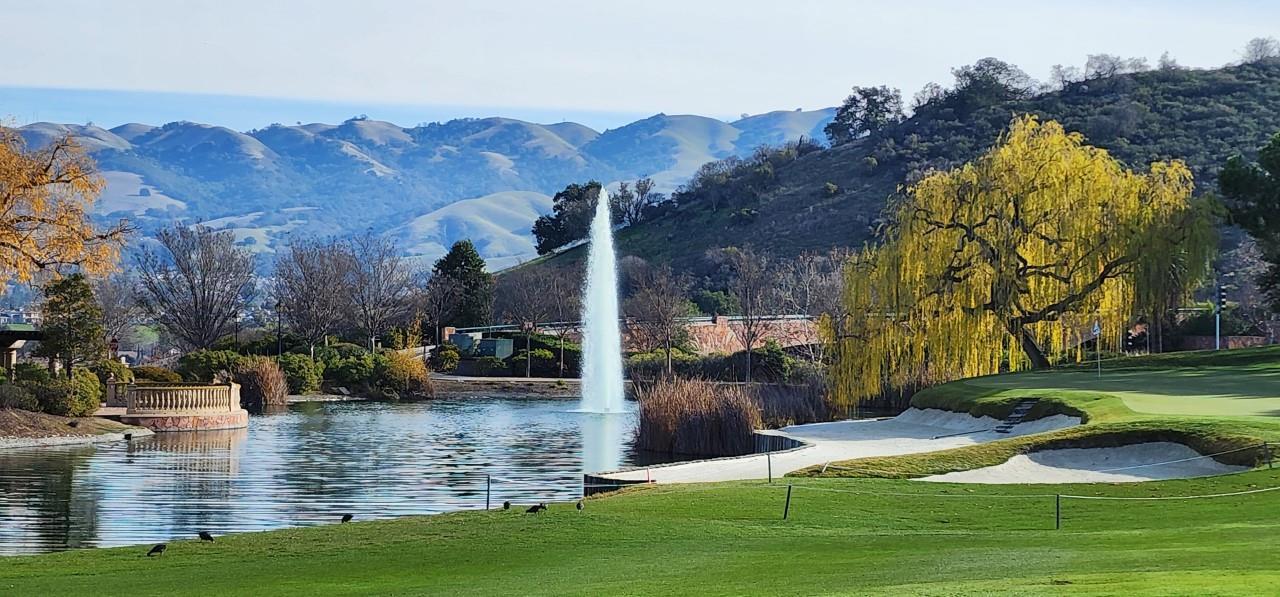 Detail Gallery Image 58 of 61 For 2245 Silver Blossom Ct, San Jose,  CA 95138 - 2 Beds | 2 Baths