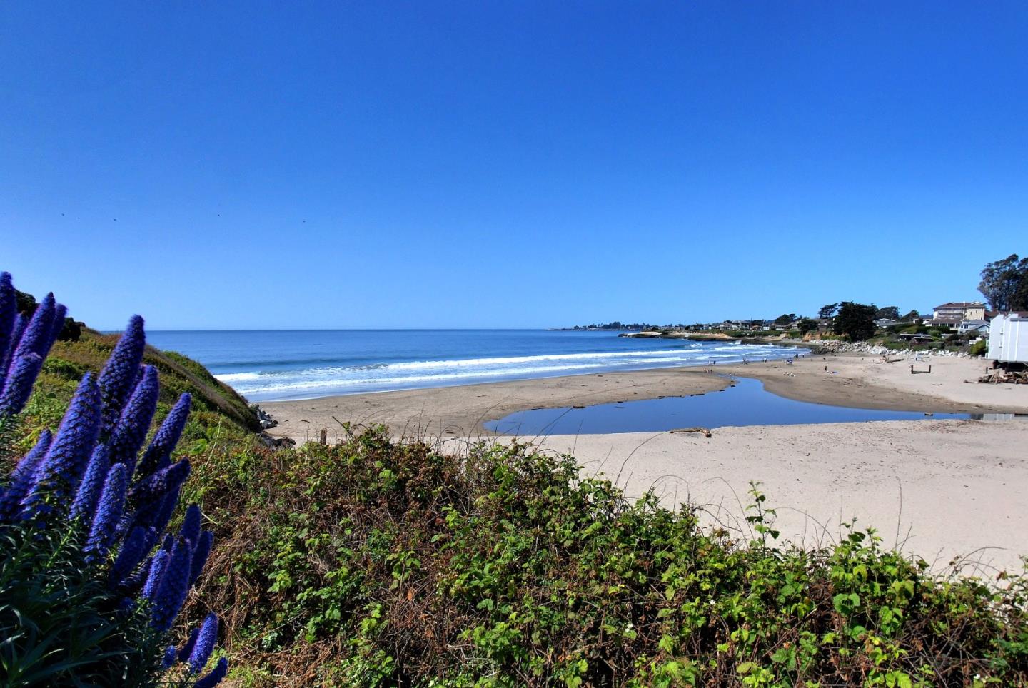 Detail Gallery Image 45 of 48 For 1203 Andrew Ln, Santa Cruz,  CA 95062 - 2 Beds | 2 Baths