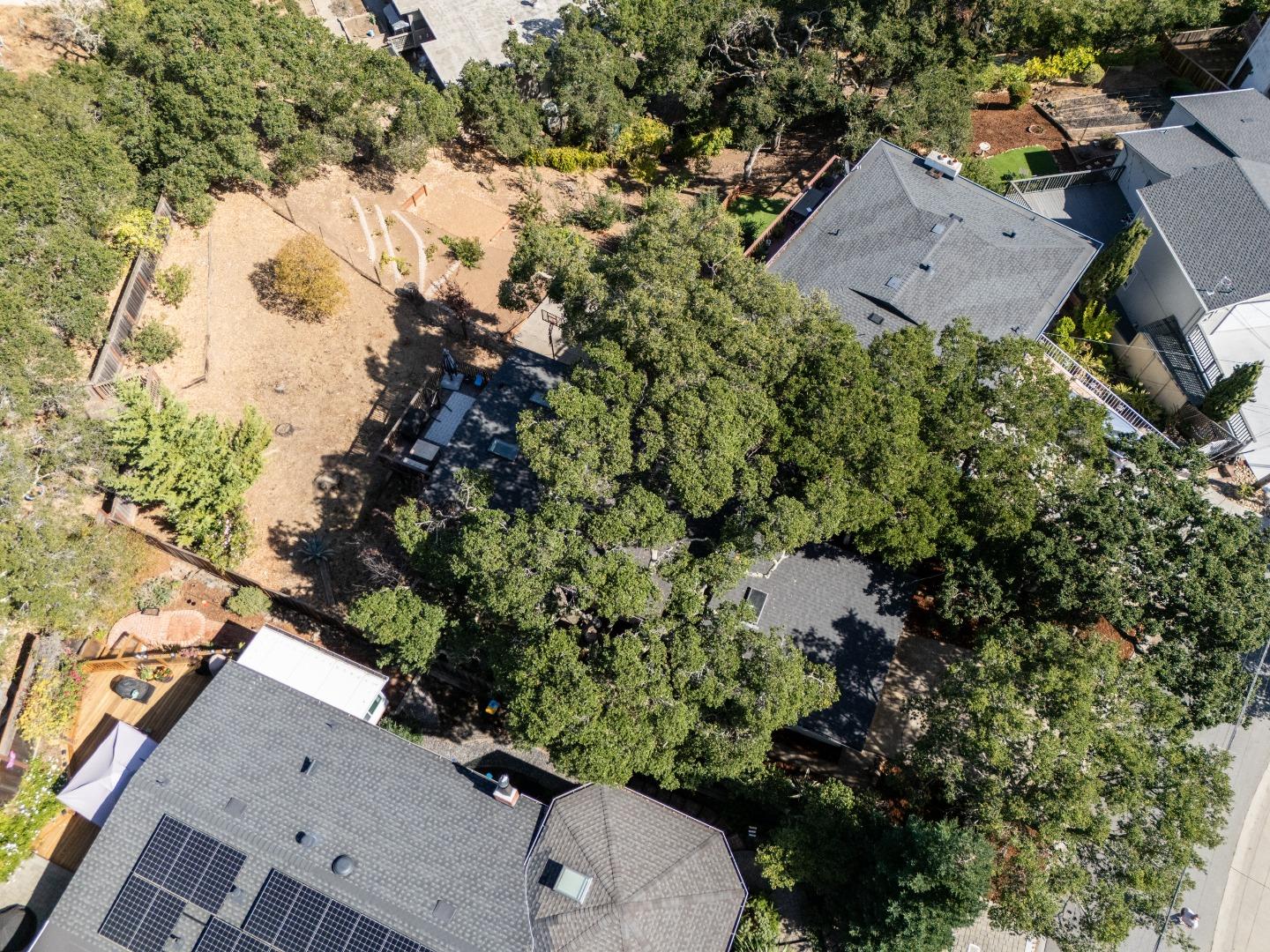 Detail Gallery Image 5 of 22 For 2652 Ponce Ave, Belmont,  CA 94002 - 3 Beds | 2 Baths