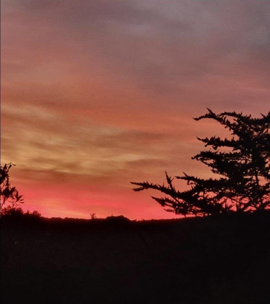 Detail Gallery Image 31 of 32 For 7561 Chester Dr, Salinas,  CA 93907 - 3 Beds | 2 Baths