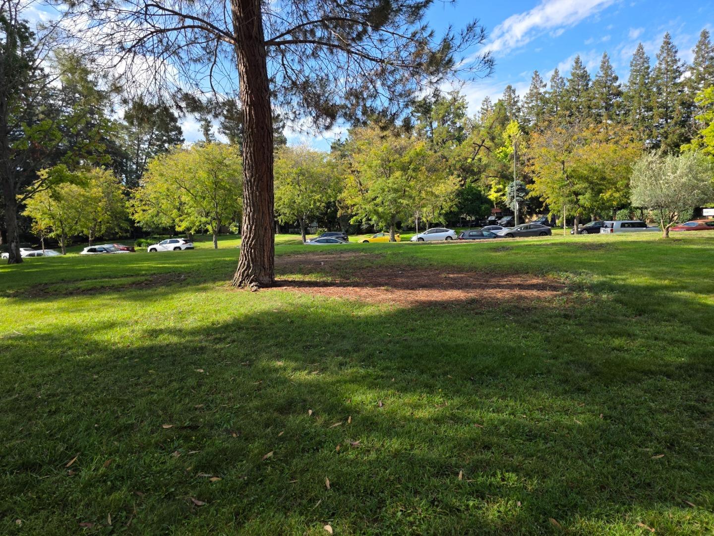 Detail Gallery Image 5 of 34 For 309 Tradewinds Dr #3,  San Jose,  CA 95123 - 1 Beds | 1 Baths