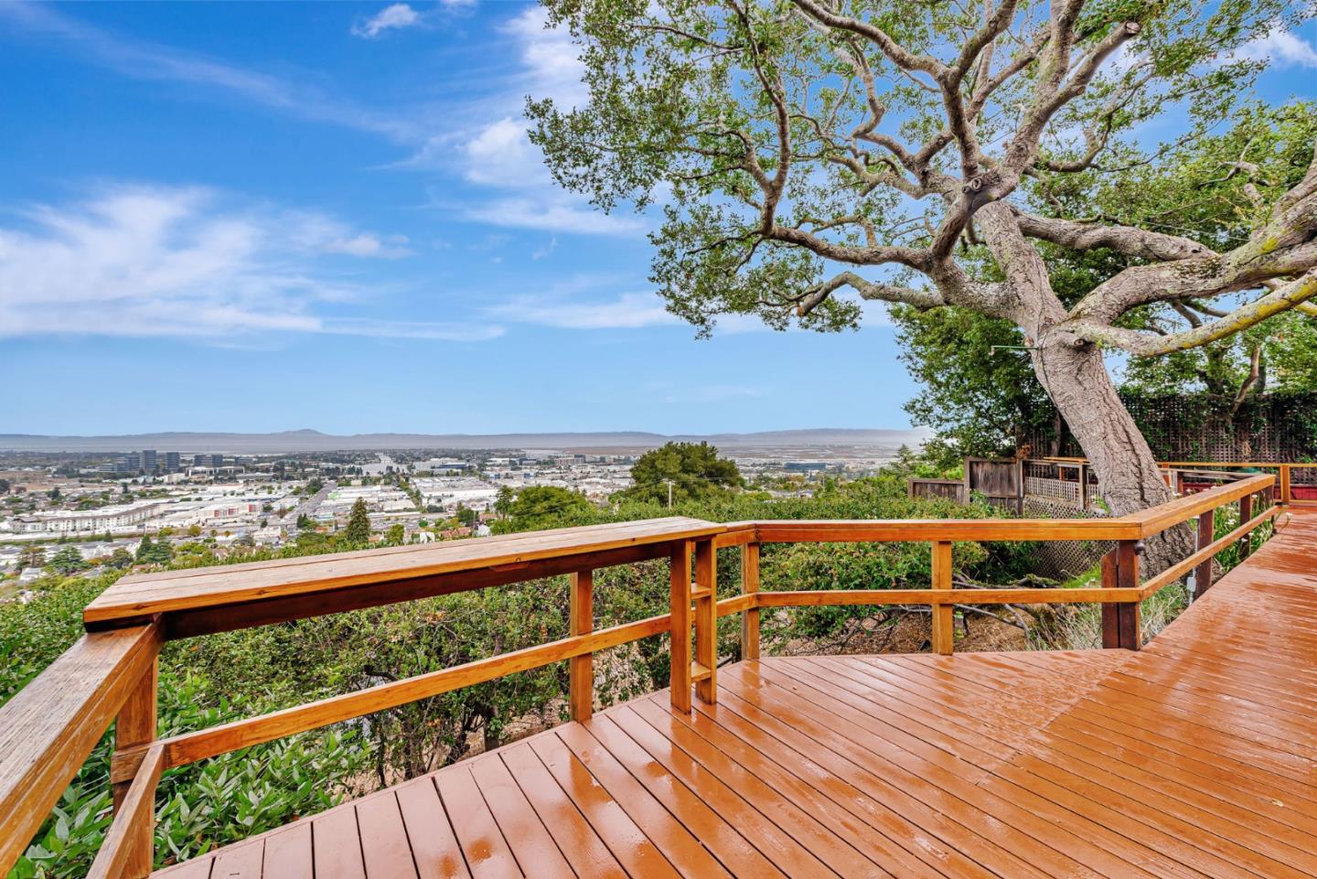 Detail Gallery Image 44 of 85 For 1630 Courtland Rd, Belmont,  CA 94002 - 4 Beds | 3 Baths