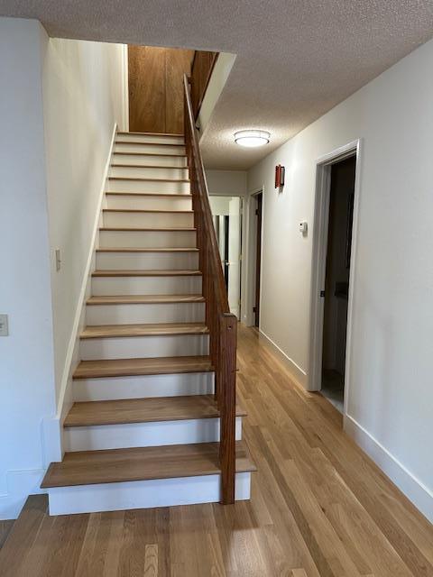 Detail Gallery Image 13 of 14 For 3633 Alameda De Las Pulgas #B,  Menlo Park,  CA 94025 - 4 Beds | 3/1 Baths