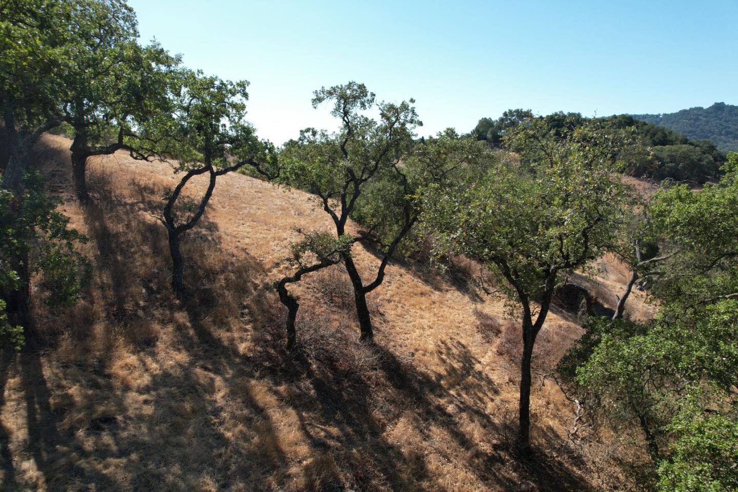 Detail Gallery Image 19 of 23 For 0 Oak Glen Ave, Morgan Hill,  CA 95037 - – Beds | – Baths