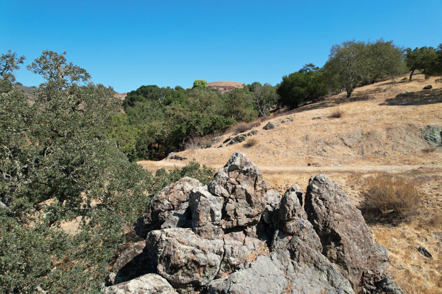 Detail Gallery Image 7 of 23 For 0 Oak Glen Ave, Morgan Hill,  CA 95037 - – Beds | – Baths