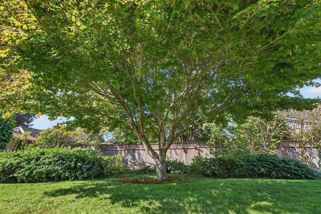 Detail Gallery Image 31 of 38 For 210 Wingfoot Dr, Aptos,  CA 95003 - 3 Beds | 2 Baths