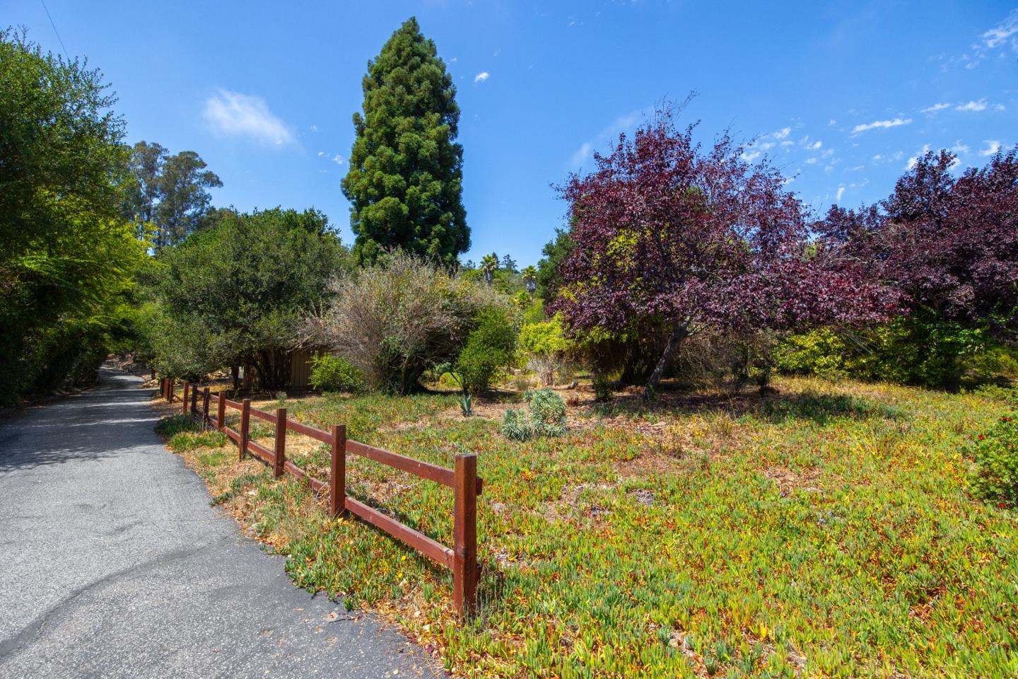 Detail Gallery Image 8 of 37 For 199 Quail Run Rd, Aptos,  CA 95003 - 3 Beds | 2 Baths