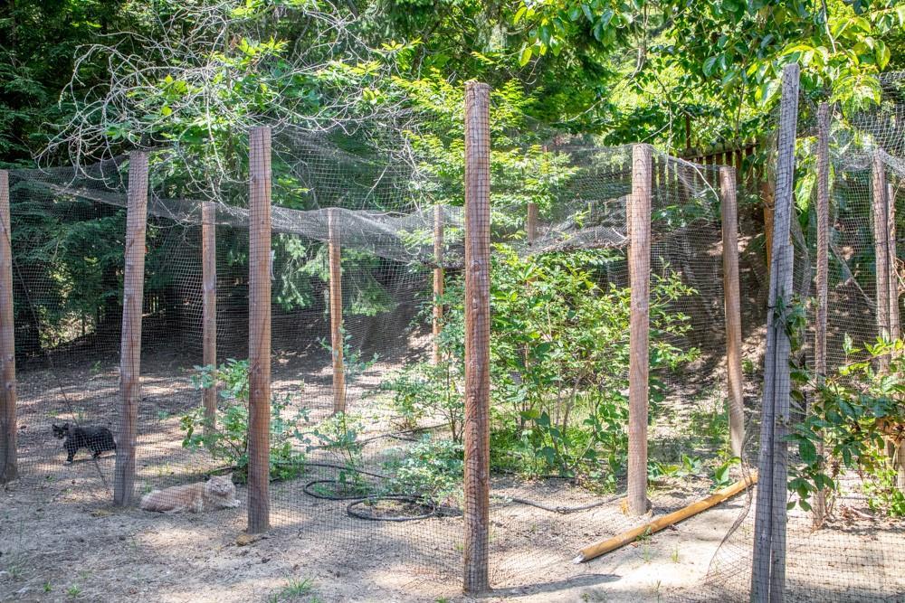 Detail Gallery Image 37 of 52 For 350 Aurora Rd, Soquel,  CA 95073 - 4 Beds | 4 Baths