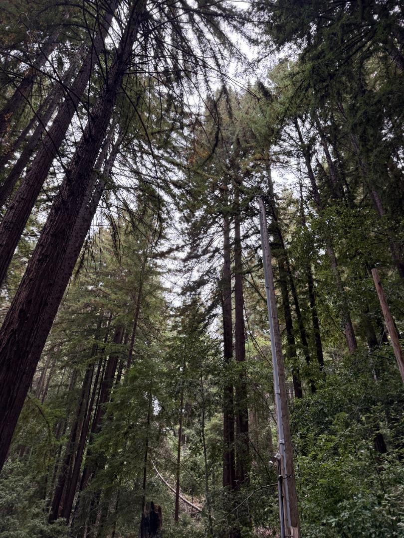 Detail Gallery Image 8 of 21 For 700 Laurel View Rd, Los Gatos,  CA 95033 - 1 Beds | 1 Baths