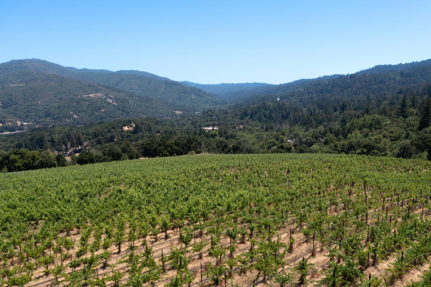 Detail Gallery Image 20 of 24 For 18650 Black Rd, Los Gatos,  CA 95033 - – Beds | – Baths