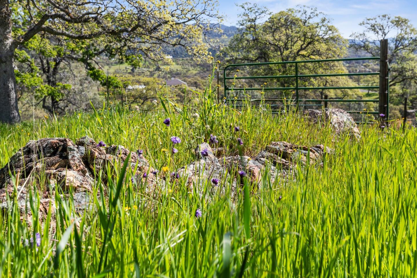 Detail Gallery Image 14 of 71 For 5699 Arbolada Dr, La Grange_TUM,  CA 95329 - 5 Beds | 4/1 Baths