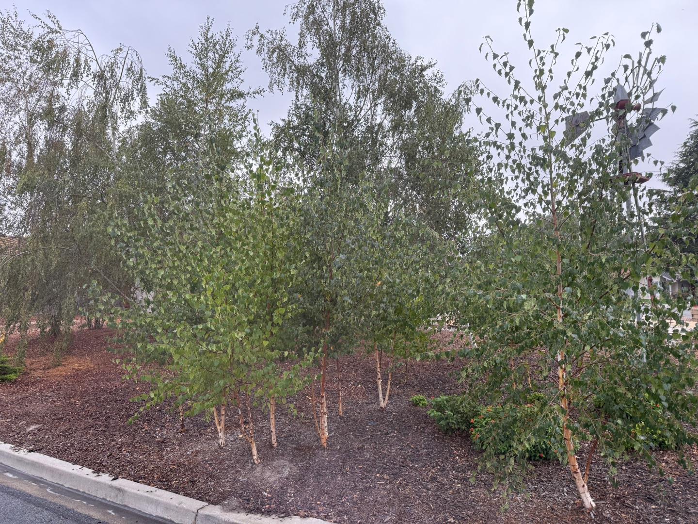 Detail Gallery Image 4 of 46 For 20251 Franciscan Way, Salinas,  CA 93908 - 3 Beds | 3 Baths