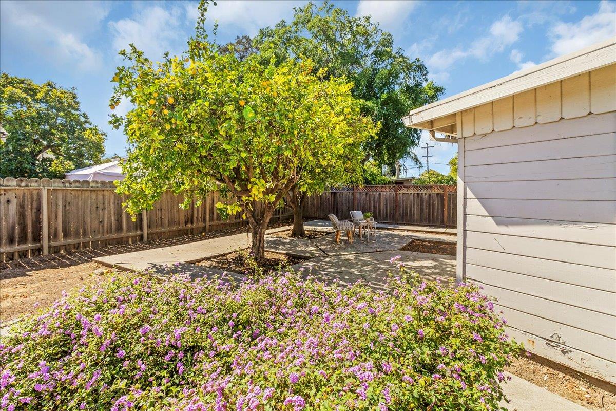 Detail Gallery Image 32 of 37 For 3220 Williams Rd, San Jose,  CA 95117 - 3 Beds | 1 Baths