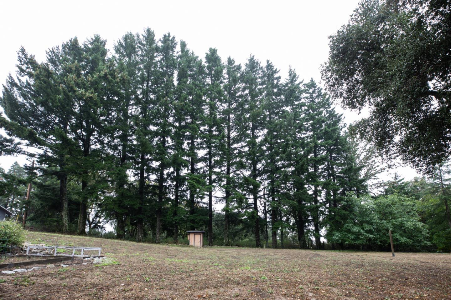 Detail Gallery Image 36 of 52 For 215 Marty Rd, Los Gatos,  CA 95033 - 5 Beds | 5 Baths