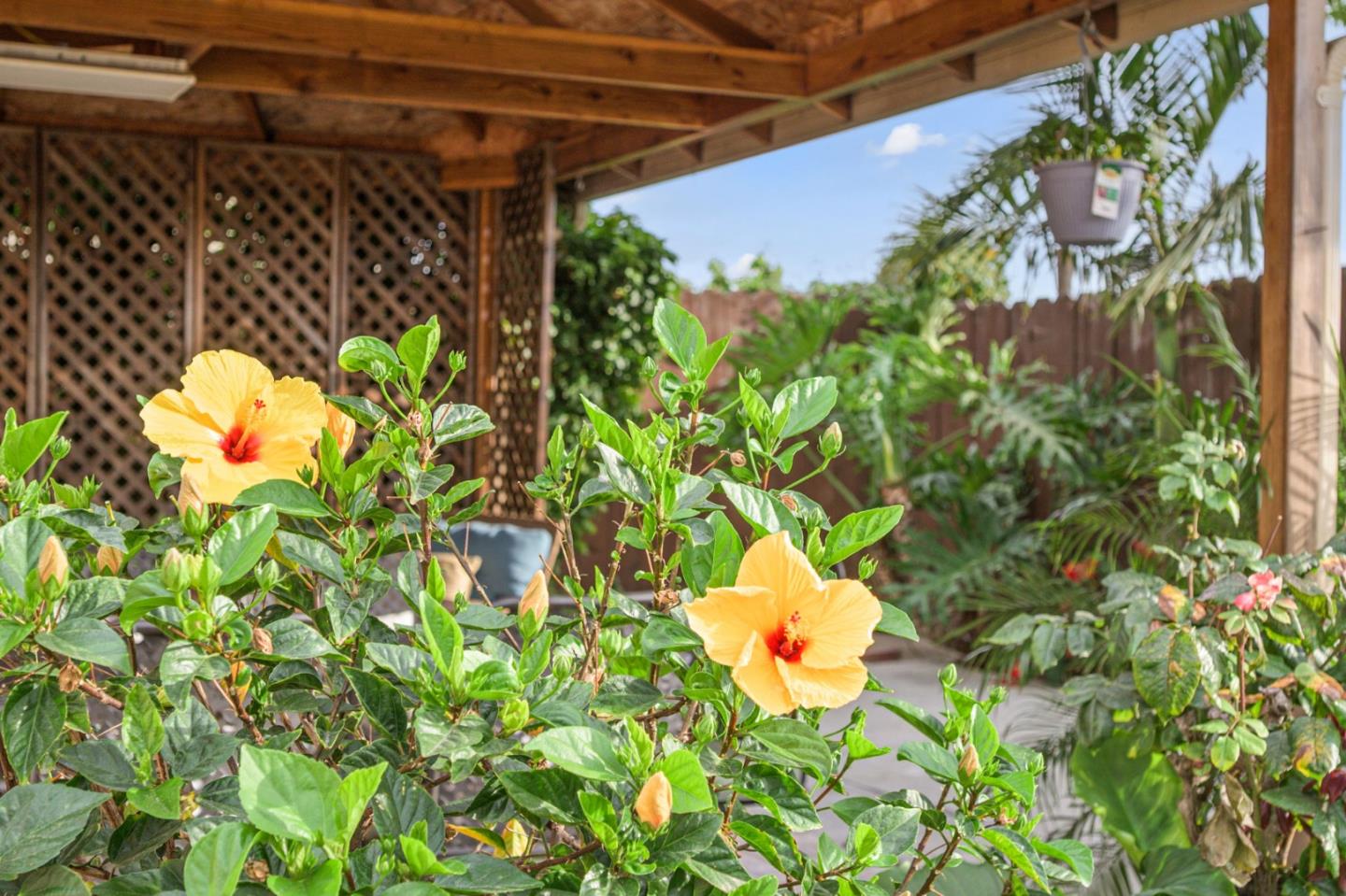 Detail Gallery Image 35 of 54 For 30487 Carroll Ave, Hayward,  CA 94544 - 3 Beds | 2 Baths