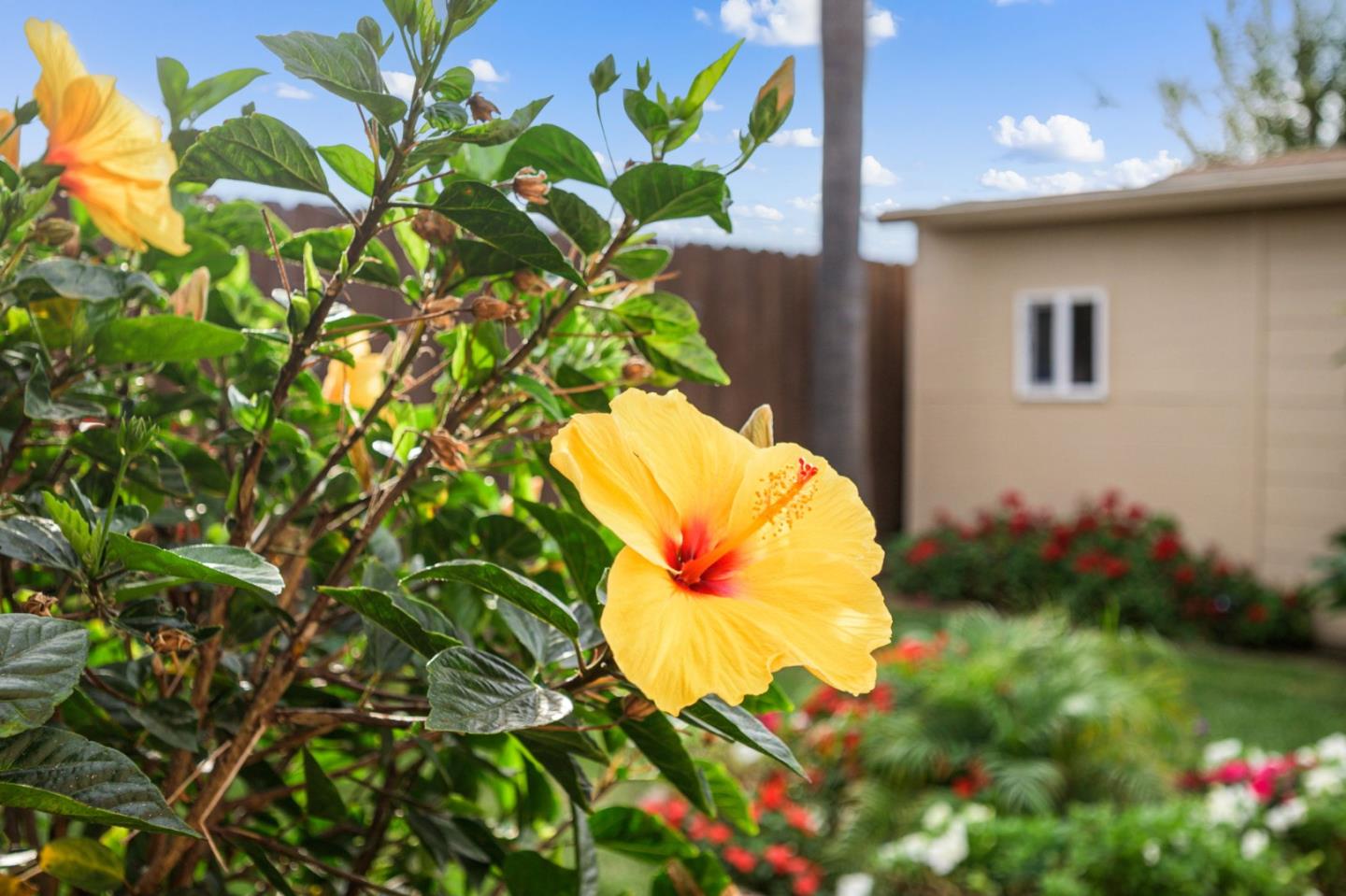 Detail Gallery Image 38 of 54 For 30487 Carroll Ave, Hayward,  CA 94544 - 3 Beds | 2 Baths