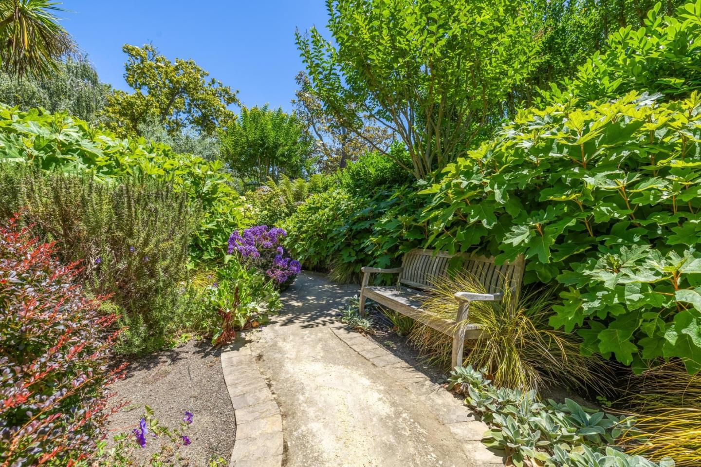 Detail Gallery Image 142 of 151 For 590 Center Dr, Palo Alto,  CA 94301 - 5 Beds | 3 Baths